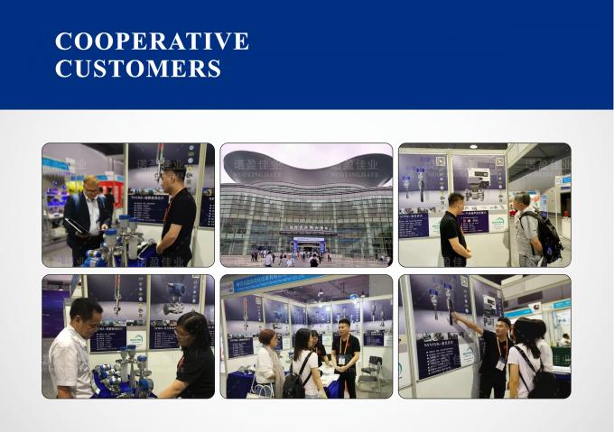 NYDE Fork Density Meter per applicazioni di miscelazione di supporti viscosi e poco conduttivi 3