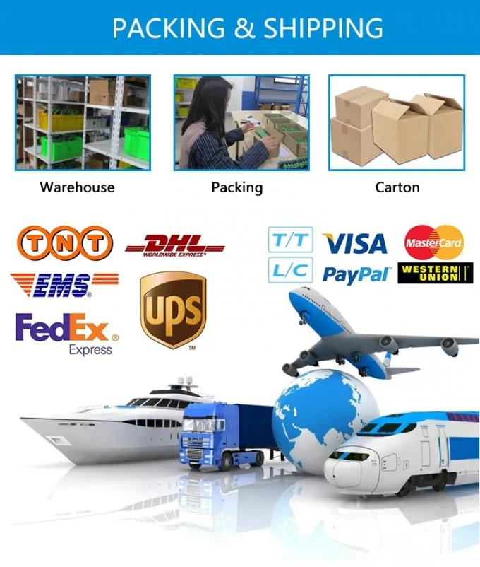 Trasmettitore di temperatura a prova di esplosione Sensore industriale intelligente per combustibile 4