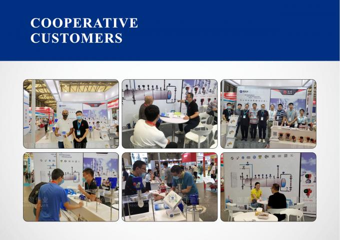 Trasmettitore di temperatura a prova di esplosione Sensore industriale intelligente per combustibile 8